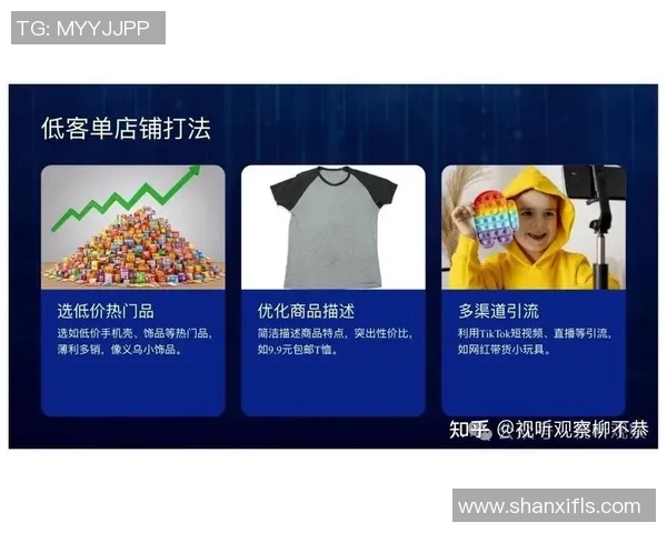 无货源跨境电商创业指南如何利用平台和供应链降低风险提升利润