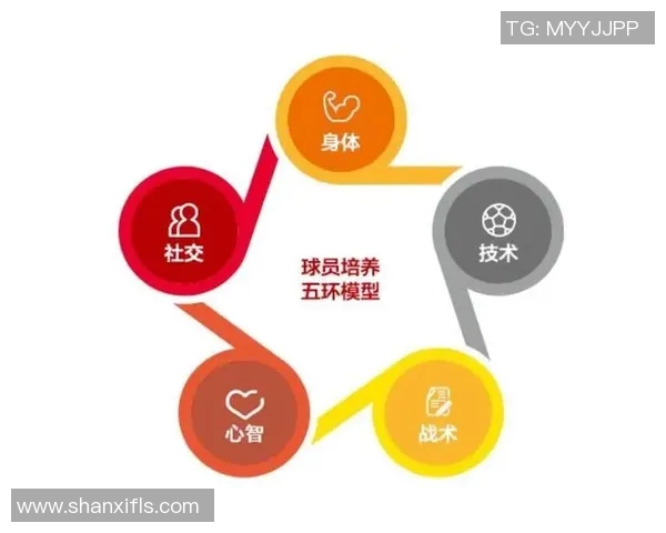 足球运动员在赛场上的成长历程与技术提升：从青训到职业生涯的全面解析