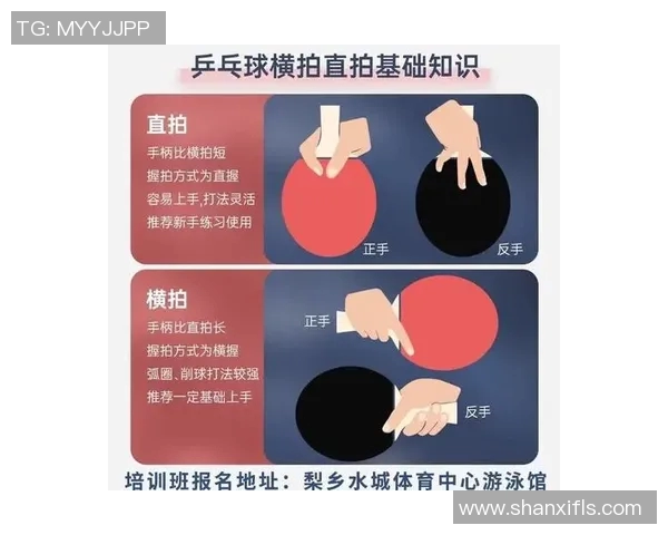乒乓球新手必看团队协作技巧与入门指南助你快速提升球技